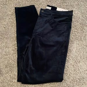 NWT! LOFT Navy corduroy pants